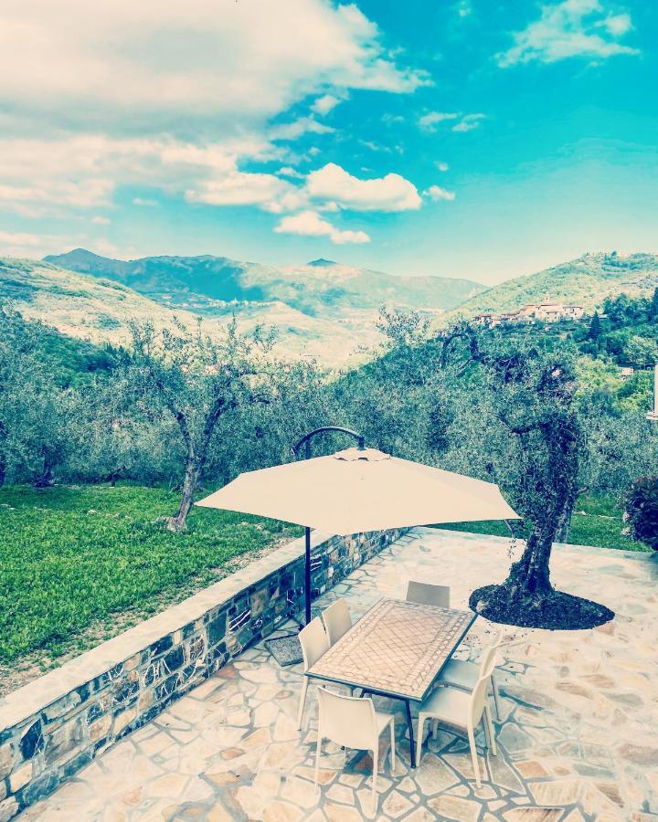 Casa Vacanze Gli Ulivi Borgomaro Bagian luar foto