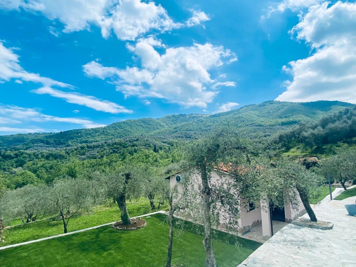 Casa Vacanze Gli Ulivi Borgomaro Bagian luar foto