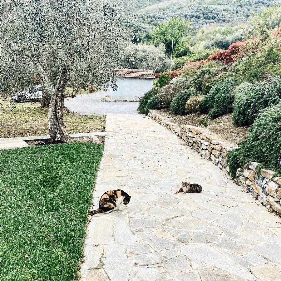 Casa Vacanze Gli Ulivi Borgomaro Bagian luar foto