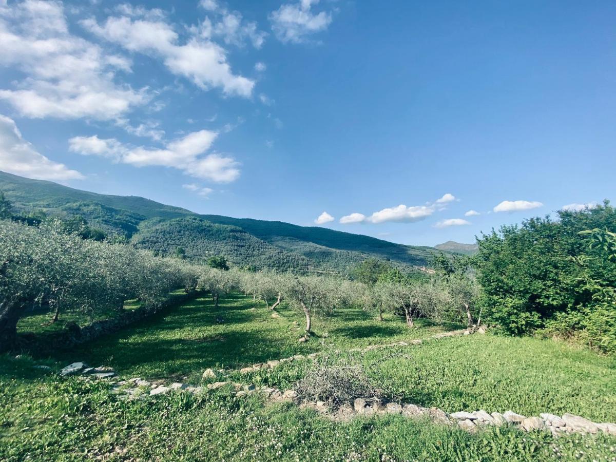 Casa Vacanze Gli Ulivi Borgomaro Bagian luar foto
