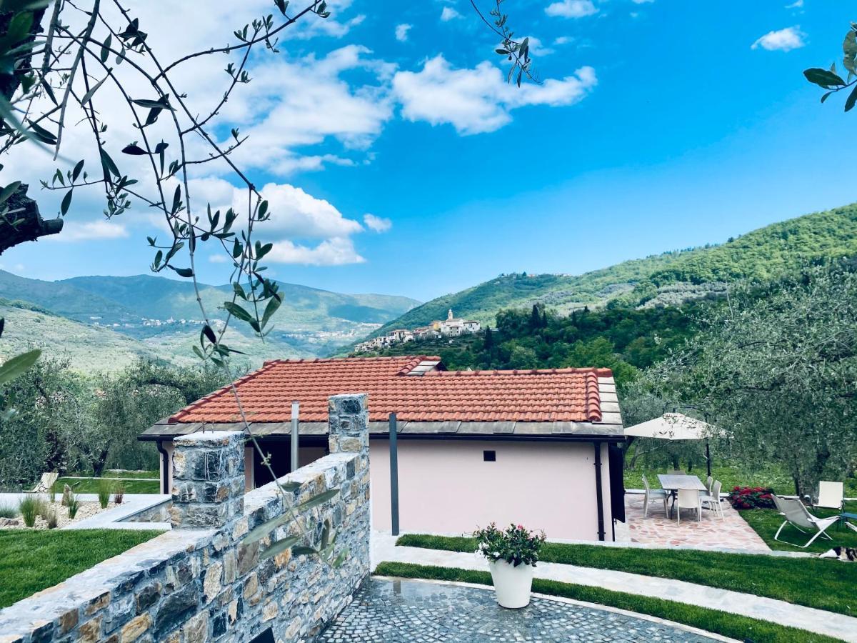 Casa Vacanze Gli Ulivi Borgomaro Bagian luar foto