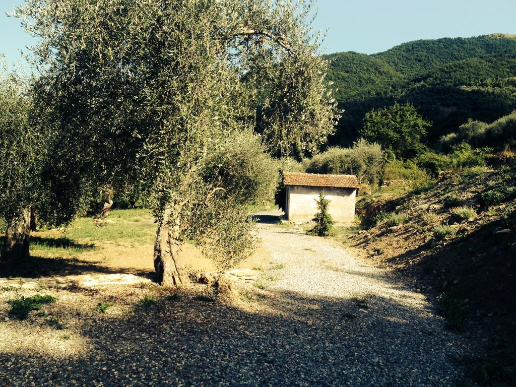 Casa Vacanze Gli Ulivi Borgomaro Ruang foto