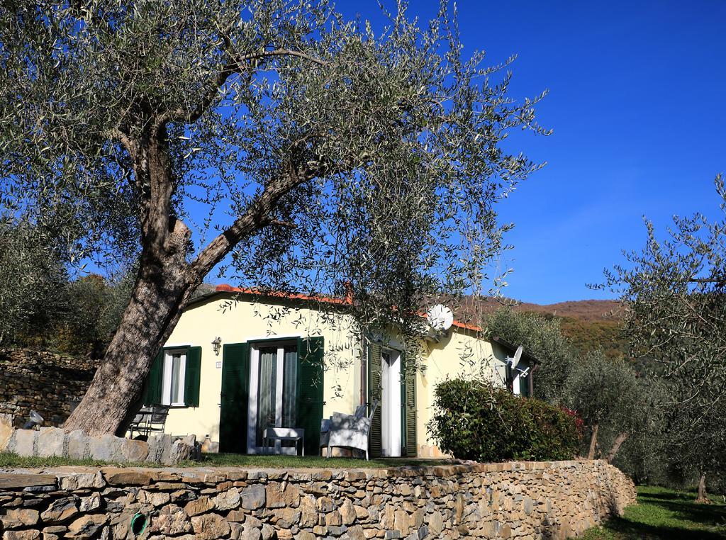 Casa Vacanze Gli Ulivi Borgomaro Bagian luar foto